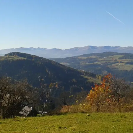 Domek alpejski Zur Schmiede Liebenfels