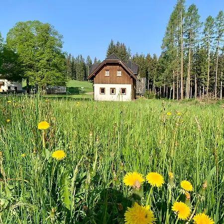 Zur Schmiede Chalet Liebenfels
