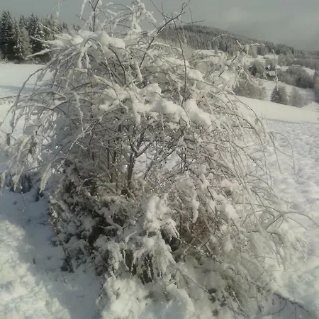 Zur Schmiede Chalet *